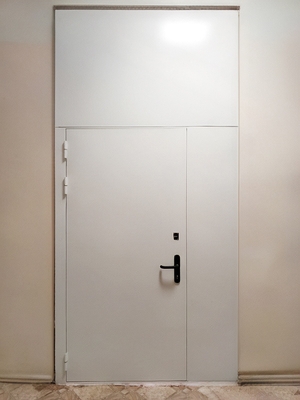 Дверь со вставками Дверь со вставками