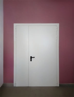 Стальная пожаростойкая дверь