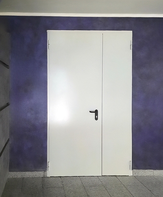 Стальная полуторапольная дверь