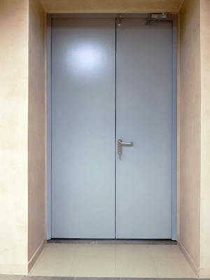 Двустворчатая стальная дверь