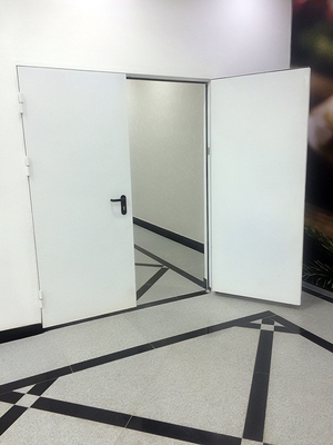 Распашная пожаростойкая дверь