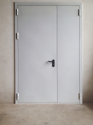 Металлическая огнестойкая дверь