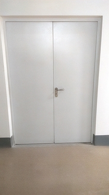 Глухая равностворчатая дверь