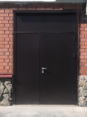 Дверь со сплошными вставками Дверь со сплошными вставками