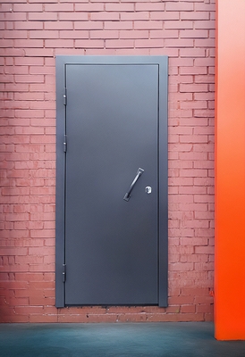 Дверь с ручкой-скобой