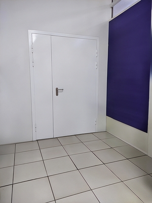 Белая полуторастворчатая дверь