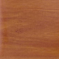 Яблоня Яблоня