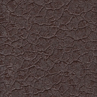 Крокодил коричневый Крокодил коричневый