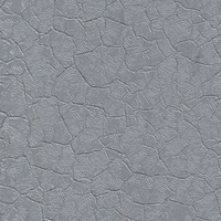 Крокодил серый Крокодил серый