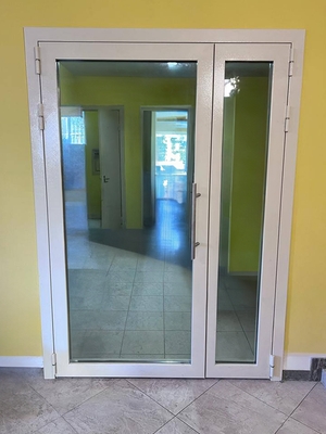 Полуторная дверь со стеклопакетами Полуторная дверь со стеклопакетами