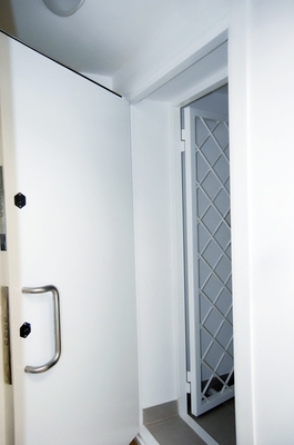 Стальная взломоустойчивая дверь Стальная взломоустойчивая дверь